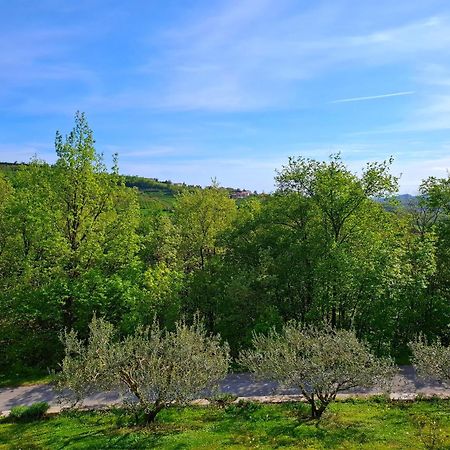 Kojsko Apartma Lavanda المظهر الخارجي الصورة
